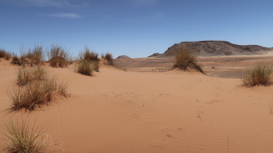 Amam Dunes 10