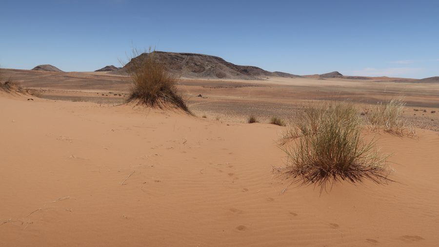 Amam Dunes 11