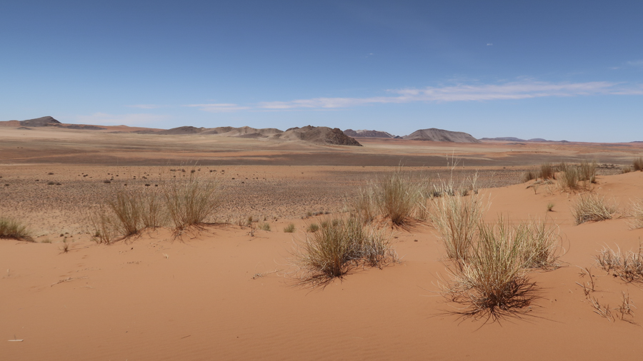 Amam Dunes 12