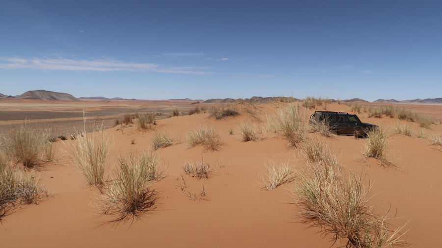 Amam Dunes 13