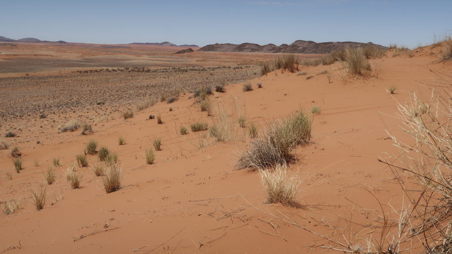 Amam Dunes 17