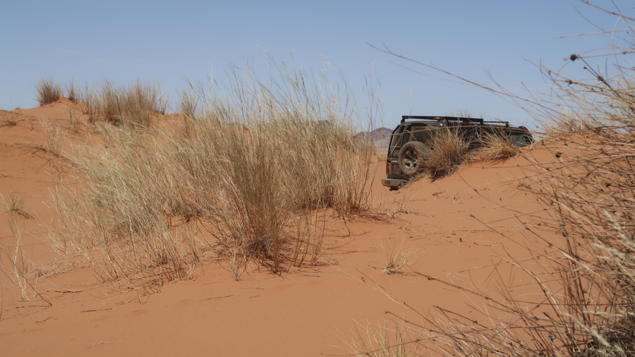 Amam Dunes 18