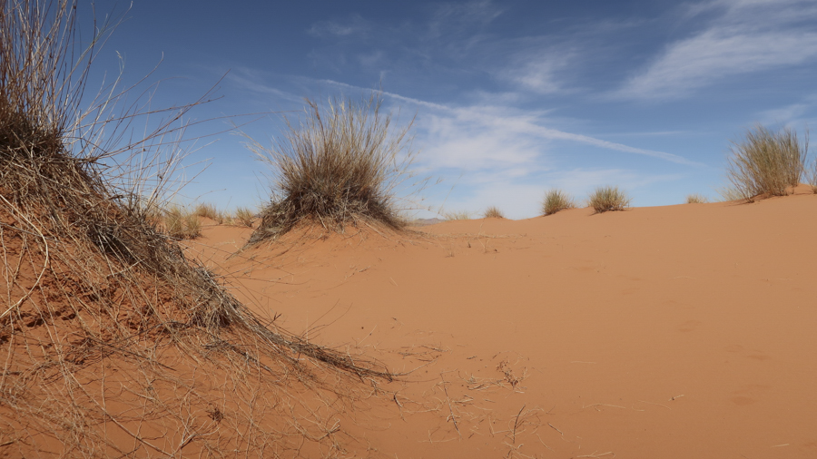 Amam Dunes 19