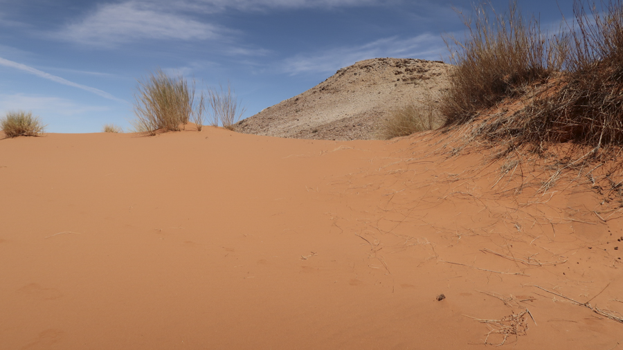 Amam Dunes 20