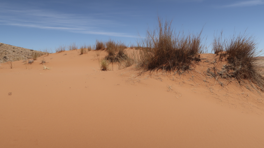 Amam Dunes 21