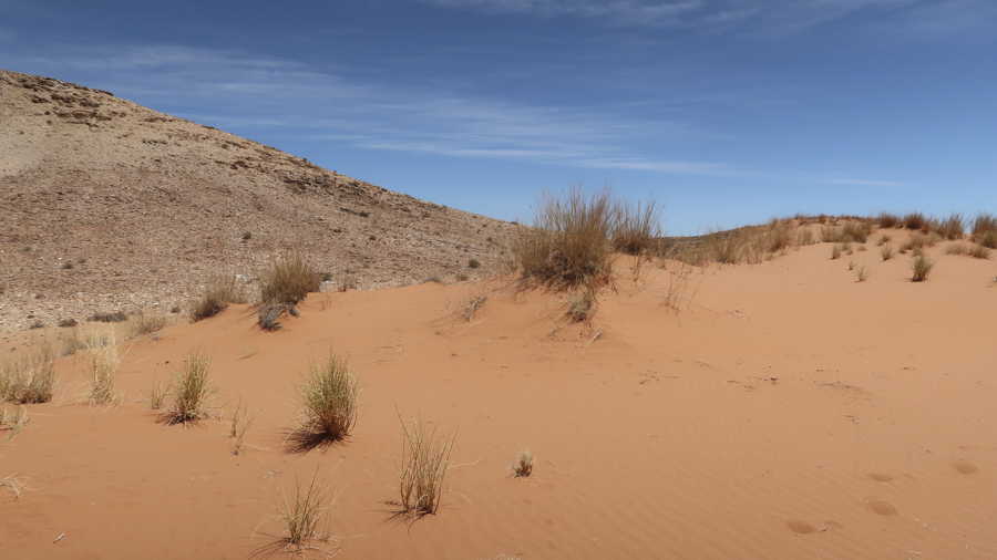Amam Dunes 4