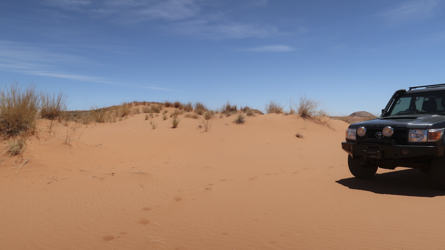 Amam Dunes 5