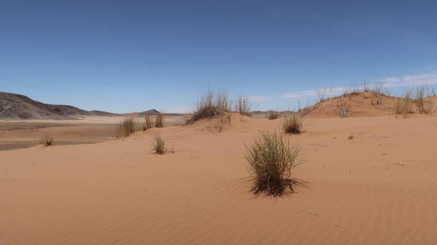 Amam Dunes 7
