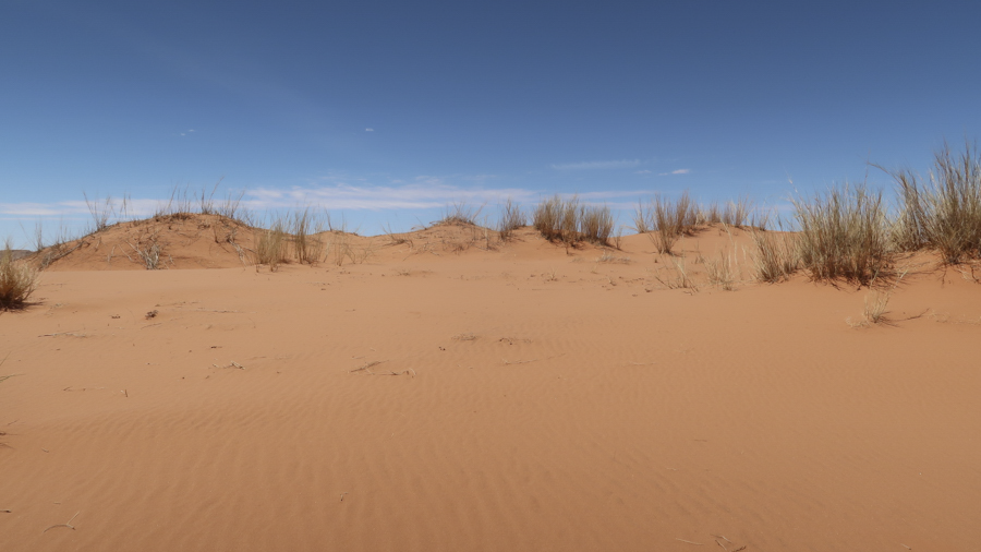 Amam Dunes 8