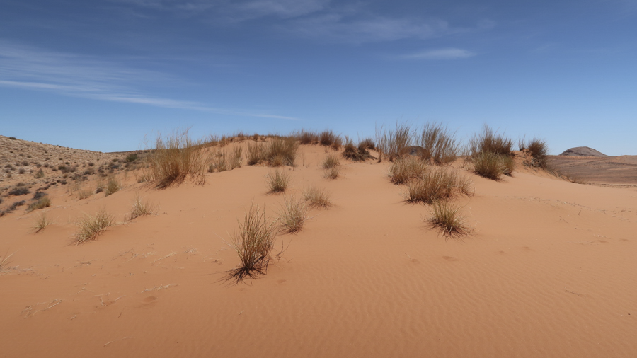 Amam Dunes 9