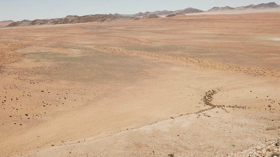 Amam Dunes Drone 19