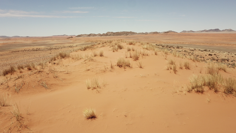 Amam Dunes Drone 5