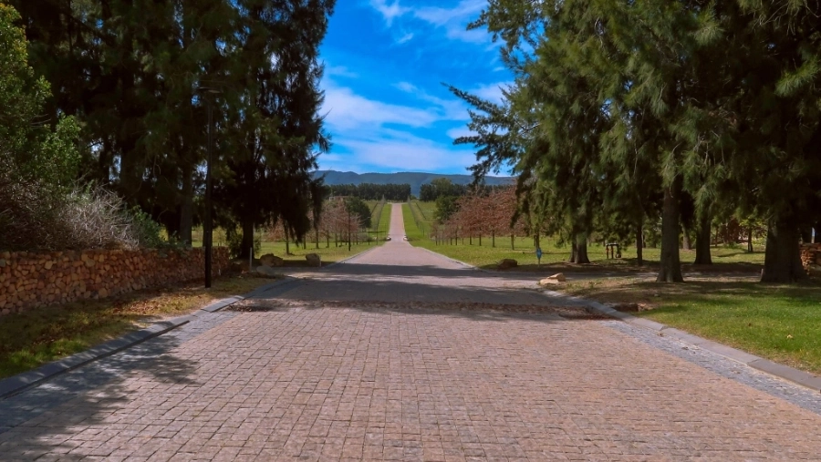 Anura-Access-Road1