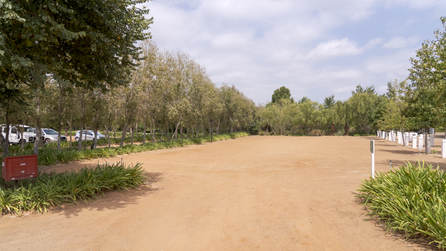 DSC09331-1