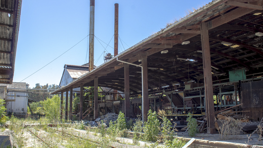 The-Woodmill-129