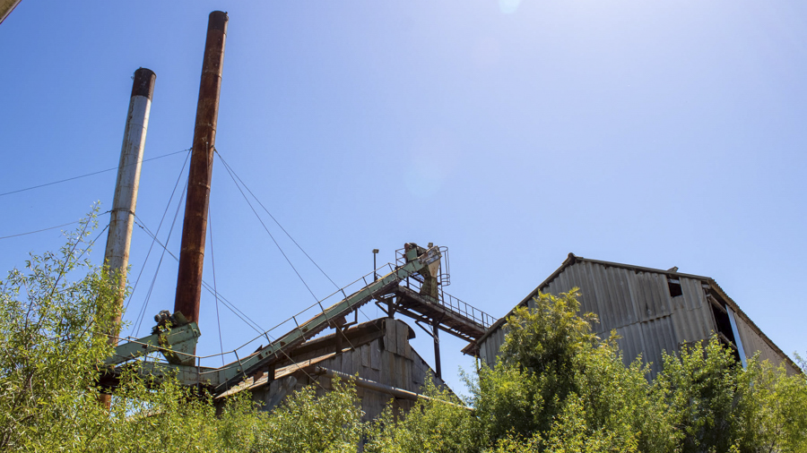 The-Woodmill-137
