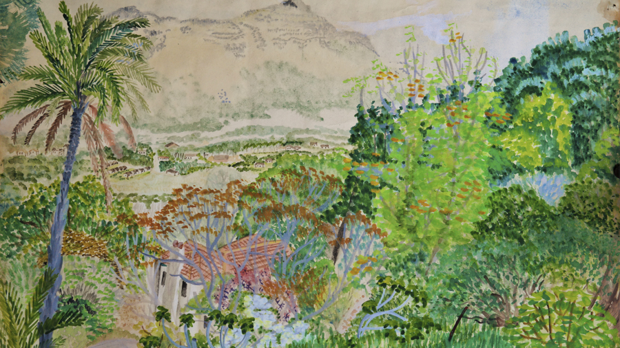 wolwe28